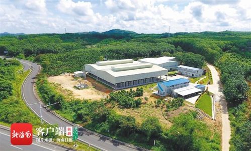 澄邁實(shí)施產(chǎn)業(yè)扶貧項(xiàng)目94個(gè) 投入扶貧資金3359萬元