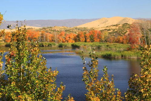 新疆資源生態(tài)環(huán)境數(shù)據(jù)庫 構(gòu)建綠色絲路數(shù)字基石